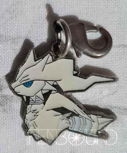 Pokemon Rumble Charm
