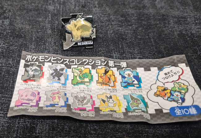 Puzzle pin
