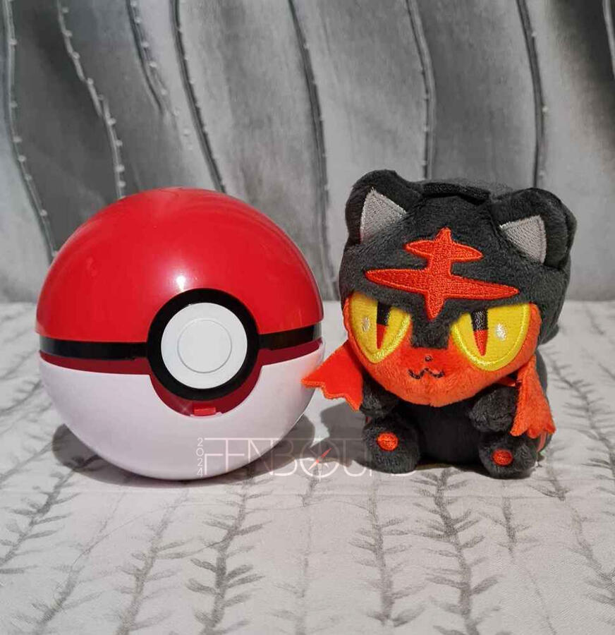 Petit Litten (JP)