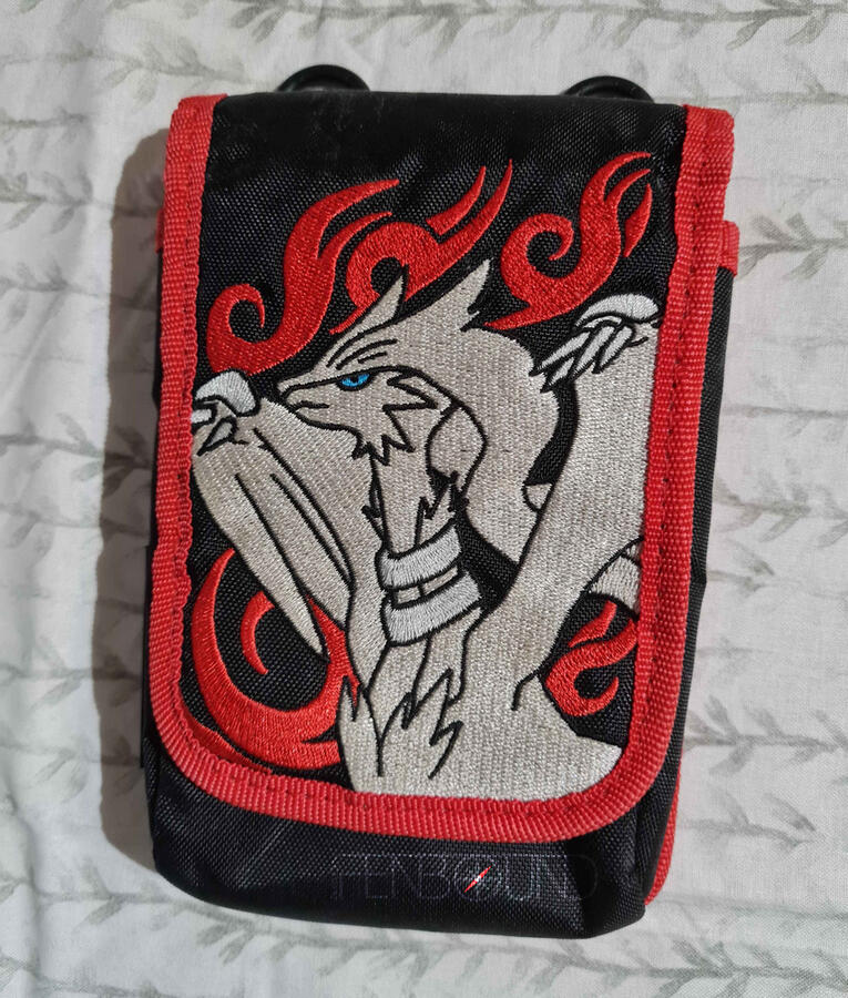 DS Case